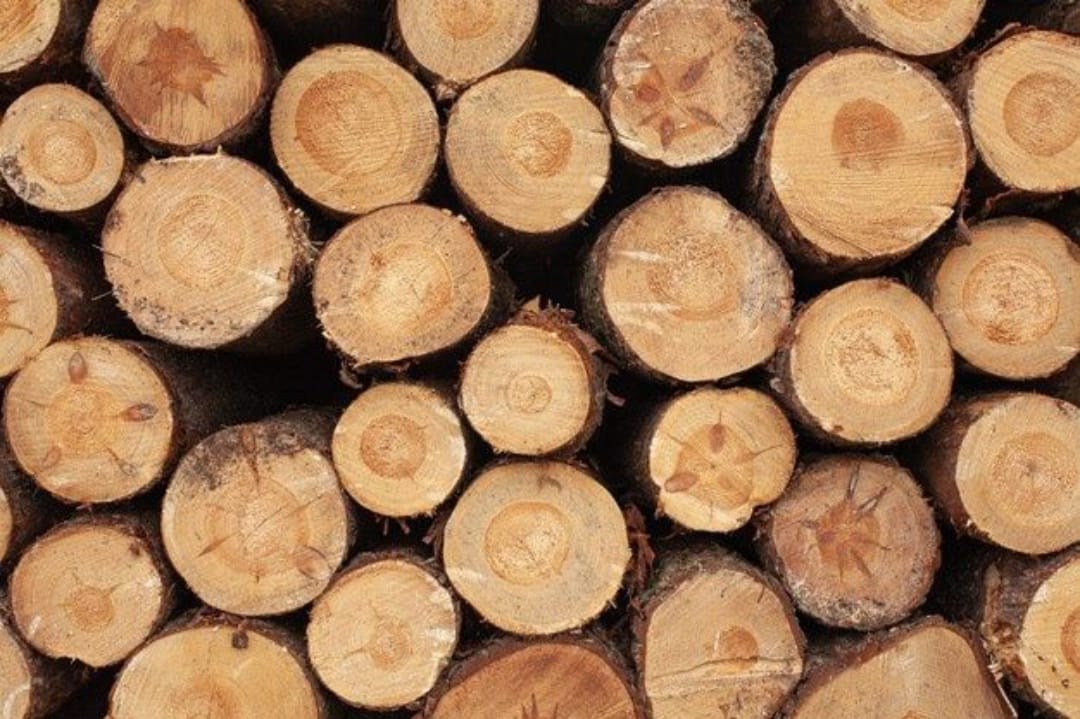 Overview of Lumber Price Trends Lumber prices have experienced significant fluctuations, particularly peaking in 2021 but remaining volatile.